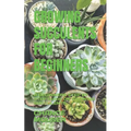 Growing Succulents for Beginners: A Beginners Step by Step Guide on Growing Succulents