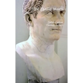 The Gallic Wars