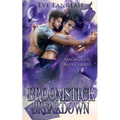 Broomstick Breakdown