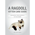 A Ragdoll Kitten Care Guide: Bringing Your Ragdoll Kitten Home