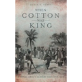 When Cotton Was King: A Novel About Slavery and Civil War