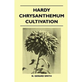 Hardy Chrysanthemum Cultivation