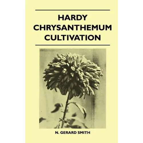 Hardy Chrysanthemum Cultivation