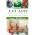 Air Plants: Everything You Need to Know About Growing, and Caring for Tillandsias