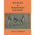 Wildlife in Persimmon Paradise