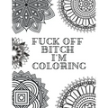 Fuck Off Bitch I'm Coloring: Coloring Book for Adults