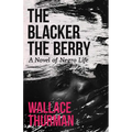 The Blacker the Berry: A Novel of Negro Life