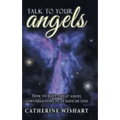 Talk to your angels: How to have great angel conversations in 30 days or less