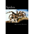 Spiders: A Fascinating Book Containing Spider Facts, Trivia, Images & Memory Recall Quiz: Suitable for Adults & Children