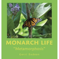 Monarch Life: "Metamorphosis"