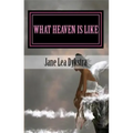 What Heaven Is Like: True Stories From My Dearly Departed