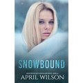 Snowbound: (McIntyre Security Bodyguard Series - Book 10)