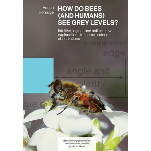 How Do Bees (and Humans) See Grey Levels?: Intuitive, logical, and anti-intuitive explanations for some curious observations