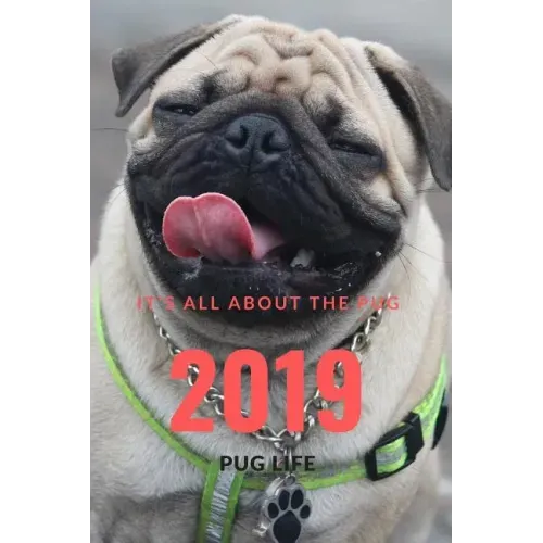 It;s All about the Pug: Pug Life
