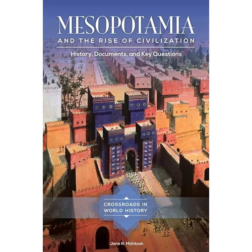 Mesopotamia and the Rise of Civilization: History, Documents, and Key Questions