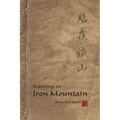 Standing On Iron Mountain