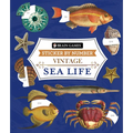 Brain Games - Sticker by Number - Vintage: Sea Life (28 Images to Sticker)