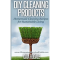 DIY Cleaning Products: Homemade Cleaning Recipes for Sustainable Living