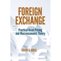 Foreign Exchange: Practical Asset Pricing and Macroeconomic Theory