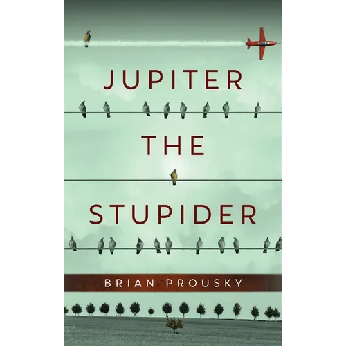 Jupiter the Stupider