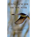 Flying Beneath the Dog Star: Poems from a Pandemic