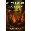 What I Wish You Knew: An Addict's Story