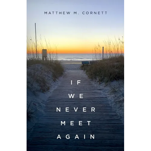 If We Never Meet Again
