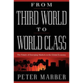 From Third World to World Class: The Future of Emerging Markets in the Global Economy