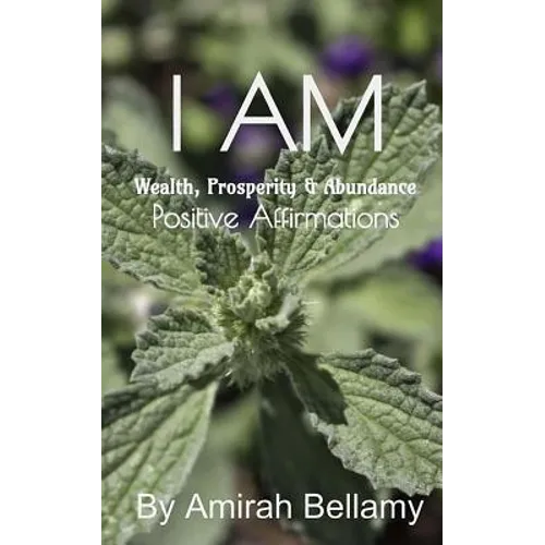 I Am Wealth, Prosperity & Abundance Positive Affirmations