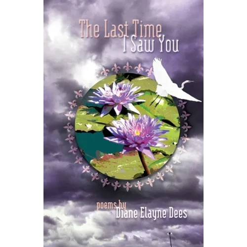 The Last Time I Saw You