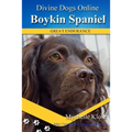 Boykin Spaniels: Divine Dogs Online