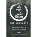 The Absolute: Enlightenment and Ultimate Freedom