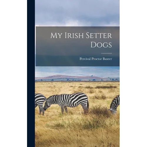 My Irish Setter Dogs