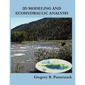 2D Modeling and Ecohydraulic Analysis