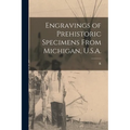 Engravings of Prehistoric Specimens From Michigan, U.S.A.