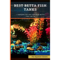 Best Betta Fish Tanks: 5 Amazing Set-Ups for Your Betta Fish Betta ...