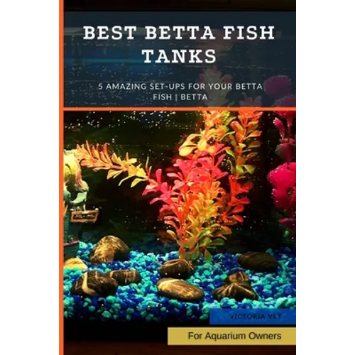 Best Betta Fish Tanks: 5 Amazing Set-Ups for Your Betta Fish Betta ...
