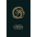 China in World History