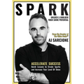 Spark: Unlock & Unblock Your Shine Potential