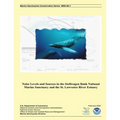 Noise Levels and Sources in the Stellwagen Bank National Marine Sanctuary and the St. Lawrence River Estuary