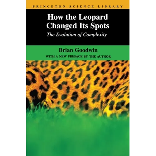 How the Leopard Changed Its Spots: The Evolution of Complexity