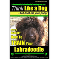 Labradoodle, Labradoodle Training AAA AKC: Think Like a Dog, But Don't Eat Your Poop! Labradoodle Breed Expert Training: Here's EXACTLY How To TRAIN Y