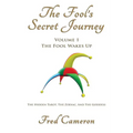 The Fool's Secret Journey Volume 1: The Fool Wakes Up