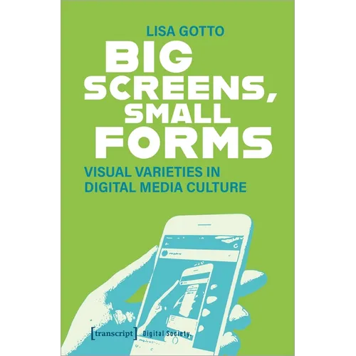 Big Screens, Small Forms: Visual Varieties in Digital Media Culture