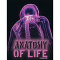 Anatomy of Life