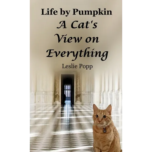 Life by Pumpkin: A Cat's View on Everything