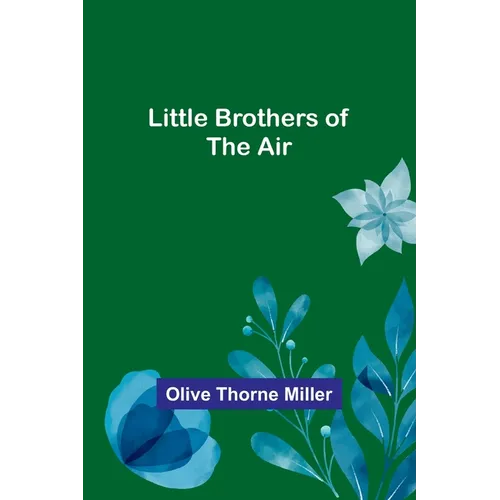 Little Brothers of the Air