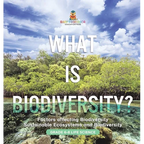 What is Biodiversity? Factors Affecting Biodiversity Sustainable Ecosystems and Biodiversity Grade 6-8 Life Science