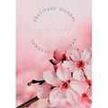 Gratitude Journal: Keep in the forefront of your mind gratitude and thankfulness