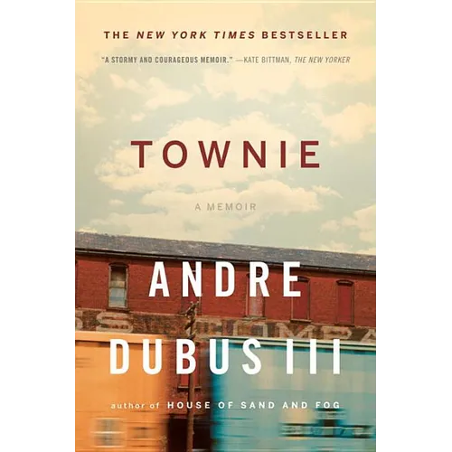 Townie: A Memoir